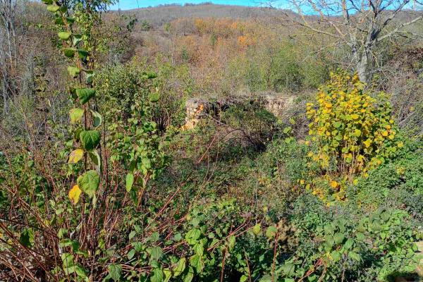 ПАРЦЕЛ ЗА КЪЩА НА 5 км. ОТ ГР.ЕЛЕНА